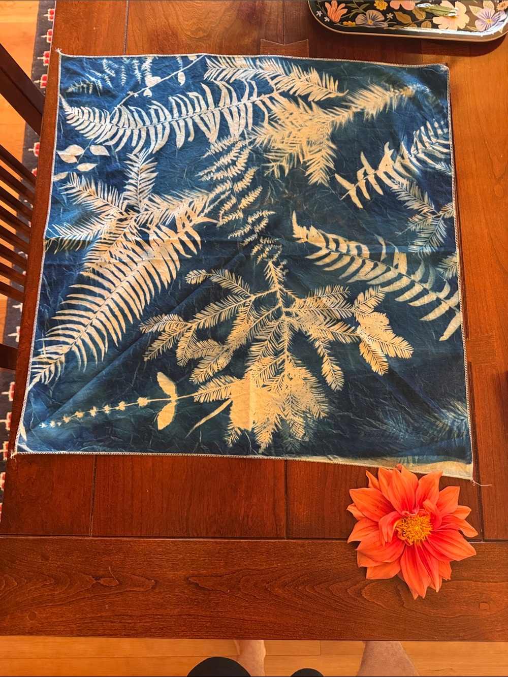 Blue Cyanotype Redwood Ecology cotton bandana